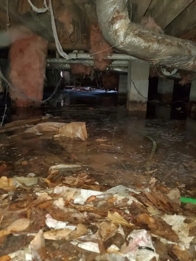 Crawl space flood assessment for Leak Detection & Repair in Murphy