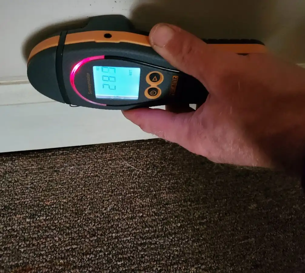 Moisture detection at baseboard during Mold Inspection & Testing in Murphy